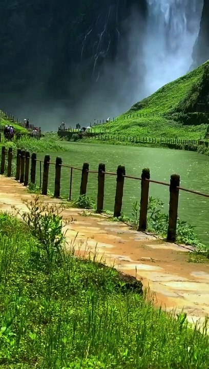 Nature 1