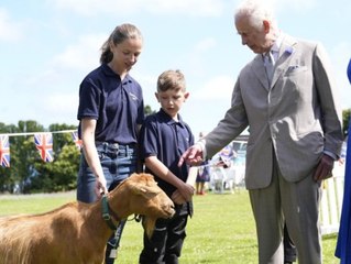 Seltene Ziegenrasse erhält Adelstitel von König Charles III.