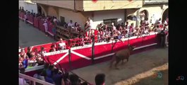 Una vaca salta al tendido en fiestas de Cadreita