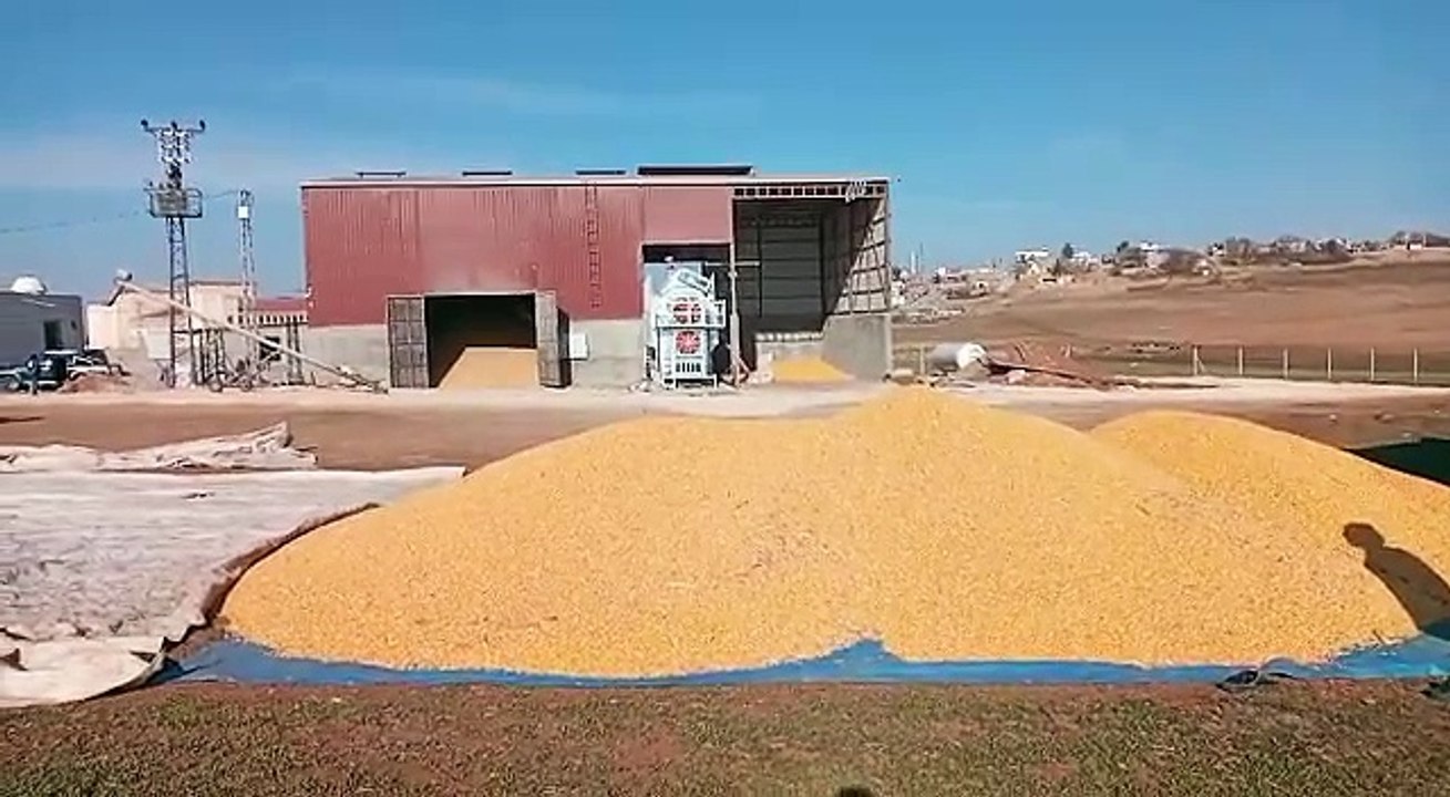 Grain dryers are used to reduce the moisture content of harvested grains. The main reasons for using these machines are as follows: 1.	Long-term Storage: High moisture content can cause grains to rot and mold. The drying process allows grains to be stored