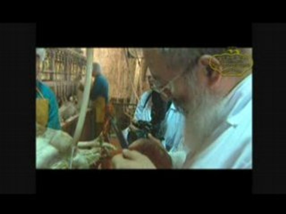 Badatz Beith Yossef שחיטת עופות