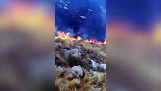 Incendio forestal en el cerro Champaquí de Córdoba