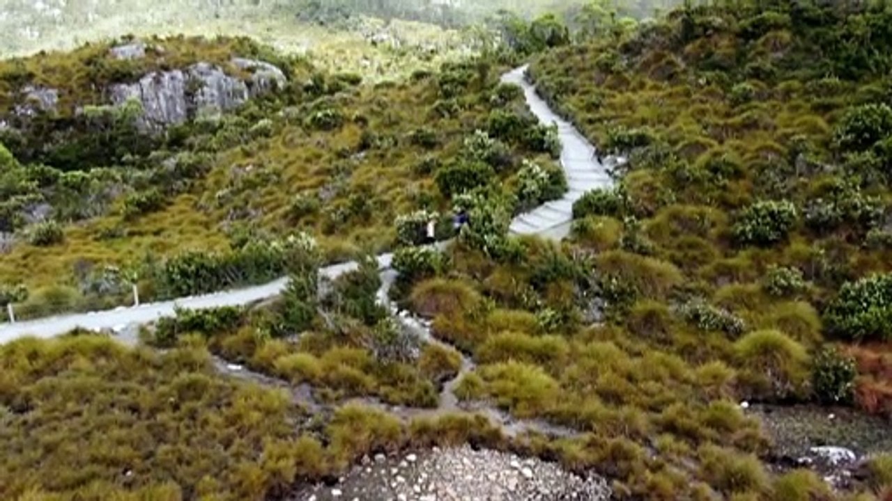 Canberran receives $45,000 ambulance bill from Tamanian government after rolling her ankle on hiking trip