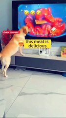 I am totally surprised...أنا مندهش تمامًا..   هل يمكنني الحصول على 👍 من فضلك https://chikraighotoops.com/4/8492279