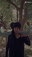 Please Like and follow