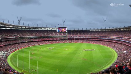 Black market firewood suppliers targeting unsuspecting Victorians
