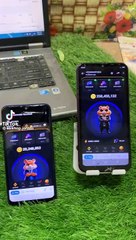 Hamster kombat update