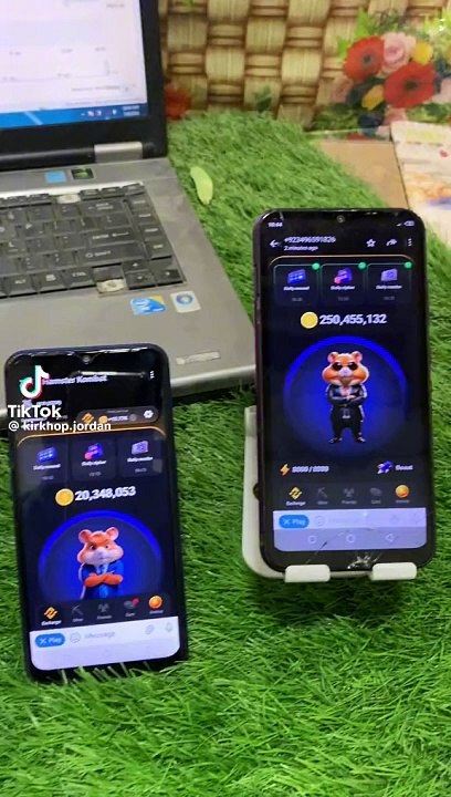 Hamster kombat update