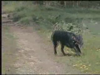 Urka rea balade 16 04 08