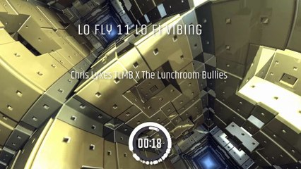 Lo Fly 11 LoFi Fly Vibing