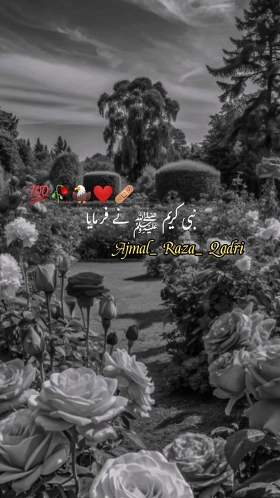 Islamic status video