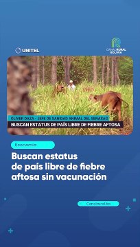 Buscan estatus de país libre de fiebre aftosa sin vacunación