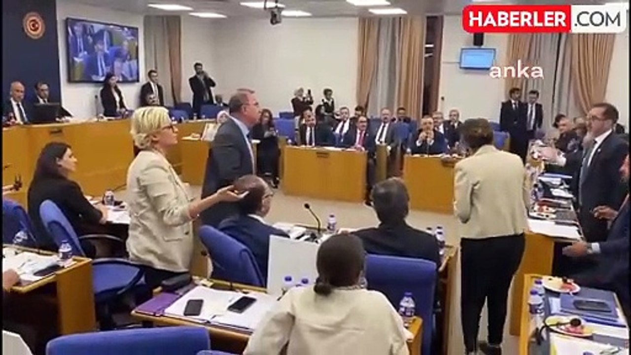 CHP Milletvekili Hayvanları Koruma Kanunu'nda Değişiklik Yapılmasına Karşı Çıktı