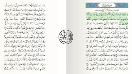 Surah Al-Anfal | By Sheikh Abdur-Rahman As-Shahat  Full With Arabic Text (HD)  08-سورۃالانفال