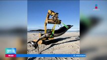 La ballena más rara del mundo aparece en playa de Nueva Zelanda