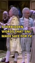 Thank you, SNL, for sneaking these words right past the FCC