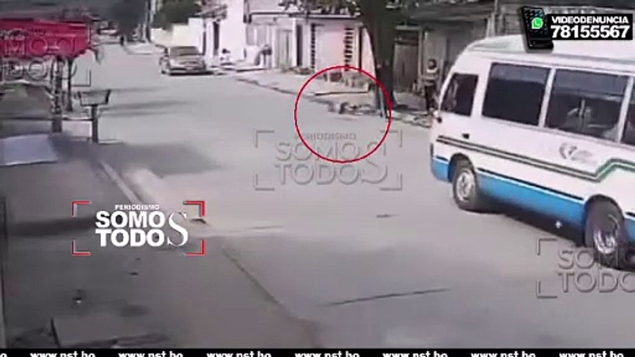 BUSCAN A CHOFER DE MICRO QUE ATROPELLÓ A UN PERRO