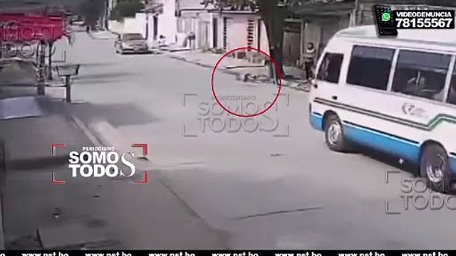 BUSCAN A CHOFER DE MICRO QUE ATROPELLÓ A UN PERRO