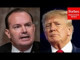 This Is The Secret Behind Donald Trump’s Success: Mike Lee