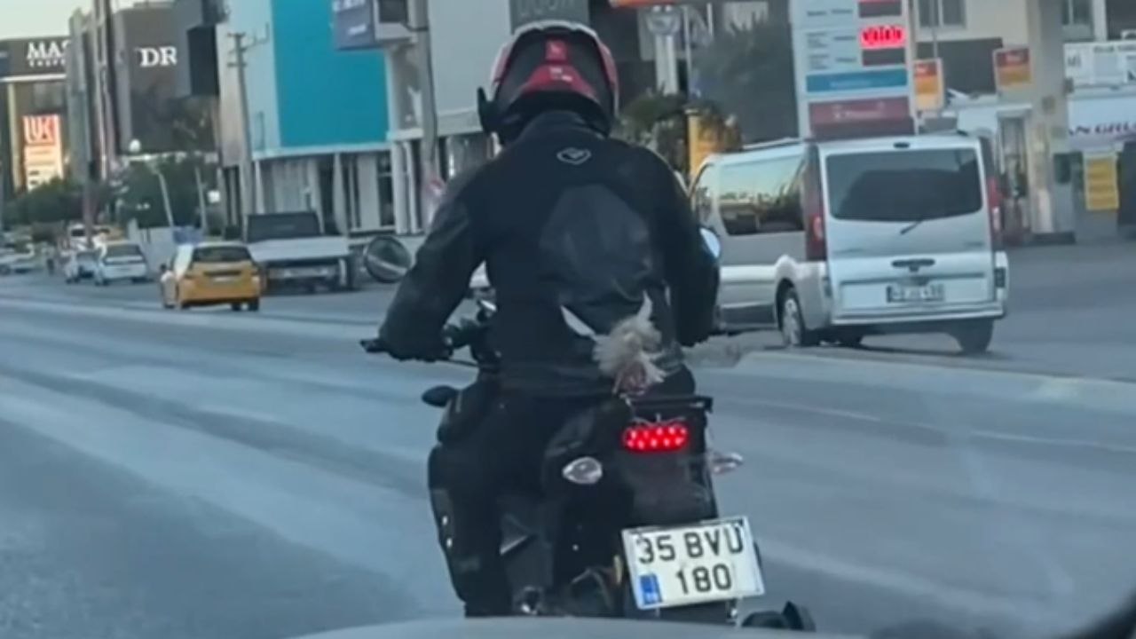 Barbie doll's hair flies high as she rides behind a biker on motorcycle