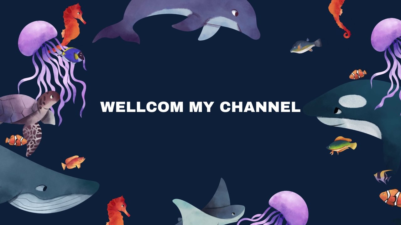 WELL COM MY CHANNEL