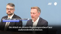 Lindner: Haushalt ging an 