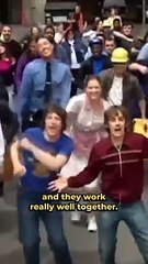 SNL stars Lorne Michaels Found On The Internet