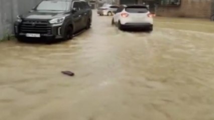 [제보영상 18일 4번] 김포 주택가 앞 도로 물바다..."하수 역류" / YTN