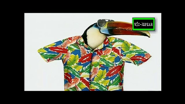 Animales Asombrosos: Animales acróbatas - Documental (1996) Español Latino