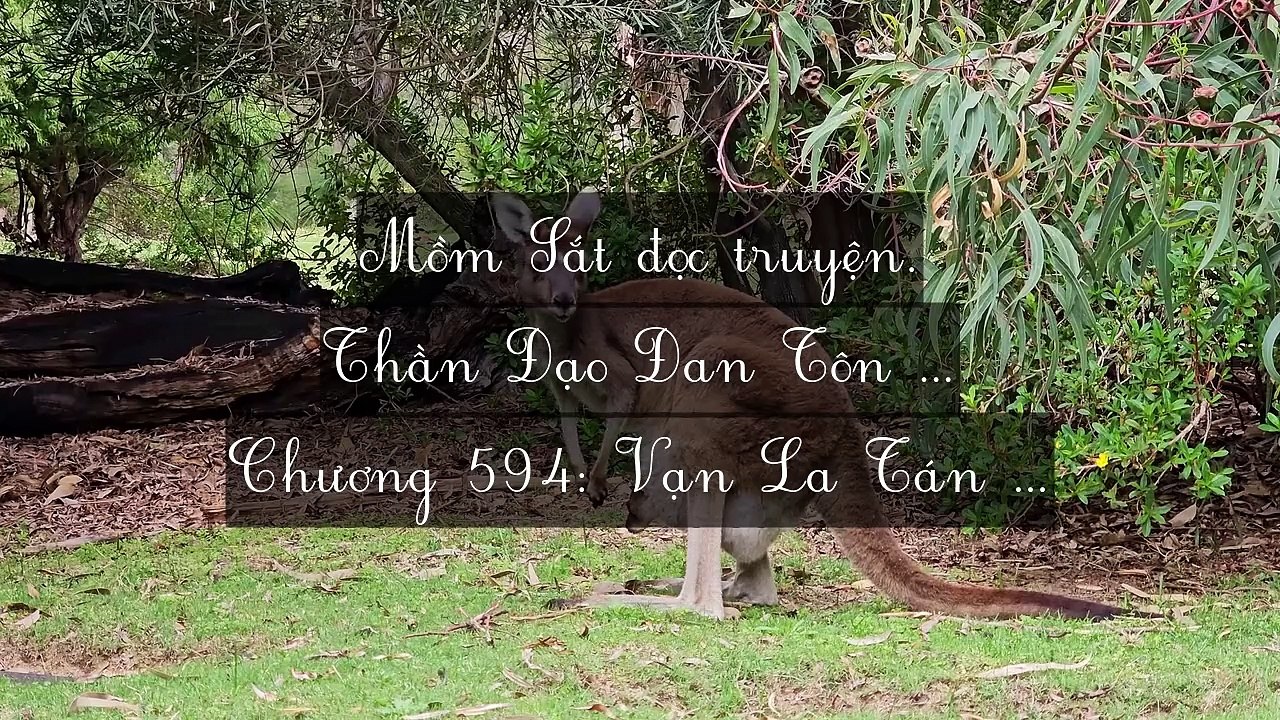Mới 2024 Chương 591-600: Thần Đạo Đan Tôn