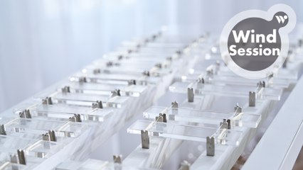 許嫚烜與水晶聲波琴──全世界唯一的琴 ∣ Discovering the Unique Instrument: Healing with Crystal Xylophone