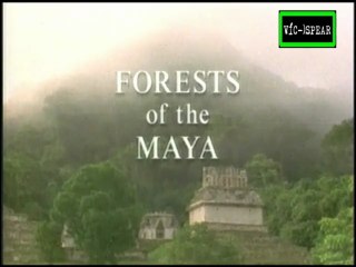 Los Espíritus del Jaguar: El bosque de los Mayas - Documental (1996) Español Latino *Episodio 2