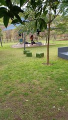 Live singing performer with guitar