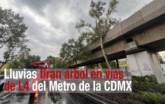 Lluvias tiran árbol en vías de L4 del Metro de la CDMX