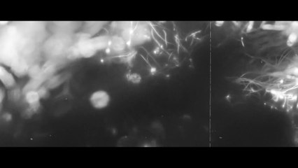 邱鉦耀 - 月光《被隱藏的音》/ Chill Jack Man - ​Clair de lune "A Hidden Note" (MV)