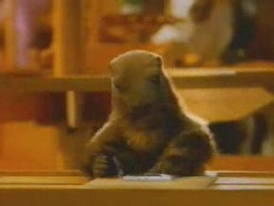 Pub Milka