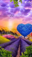 Quran tilawat allahoo akbar