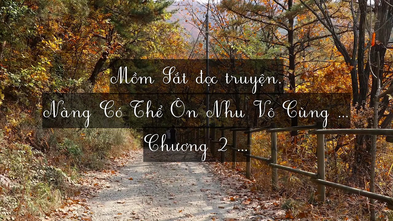 Mới 2024 Chương 1-5: Nàng Có Thể Ôn Nhu Vô Cùng