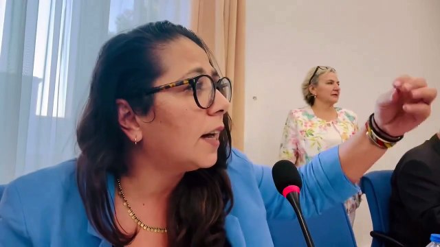 Sokak hayvanları yasa teklifi görüşmeleri 16. saatinde TİP'li Kadıgil paylaştı: 3. madde de kabul edildi