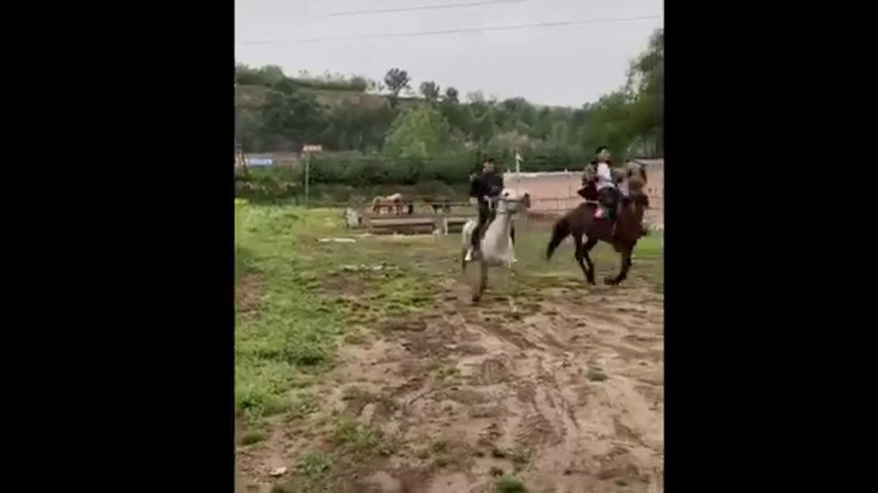 Funny Moments Of The Year Compilation