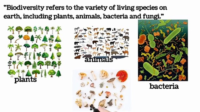 Biodiversity definition, types and it's importance 9 class biology | lec # 1 | Biodiversity | ch # 3