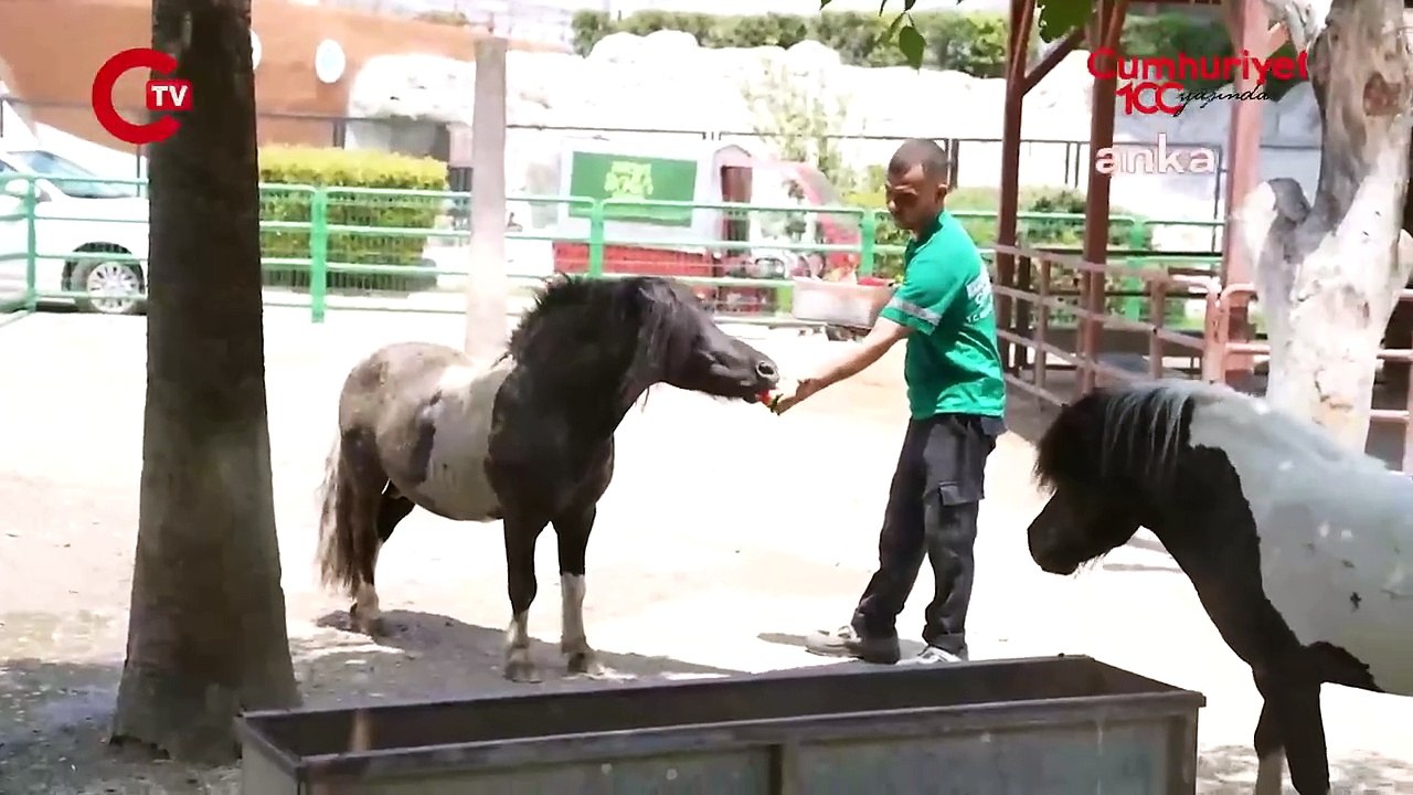Doğa Parkı sakinleri, buzlu meyve kokteylleri ile serinliyor