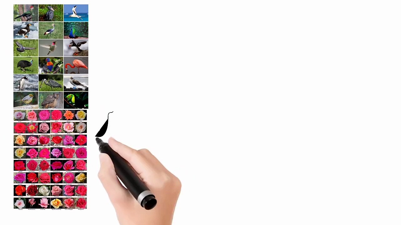 classification - aims and principle in Urdu /in Hindi| Lec # 3 | chap # 3 | Biodiversity | class 9 biology