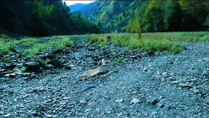 Discover Pattan Kalan: A Undiscovered Natural Beauty in Galyat, Abbottabad.