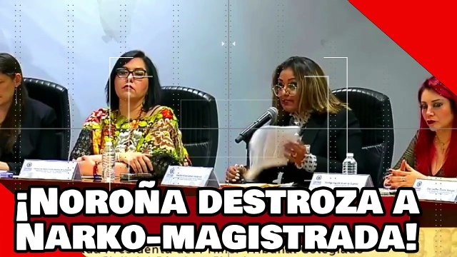 ¡VEAN! ¡Noroña destroza a una Narko-magistrada por atacar a la familia de AMLO llamándola corrupta!