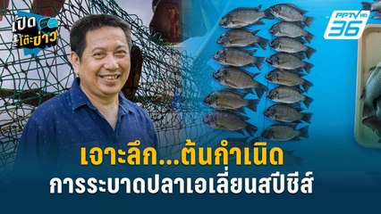 Highlight |  “วิฑูยร์” ลั่นปมปลาหมอคางดำ อย่าหลงประเด็น | เปิดโต๊ะข่าว | 18 ก.ค.67