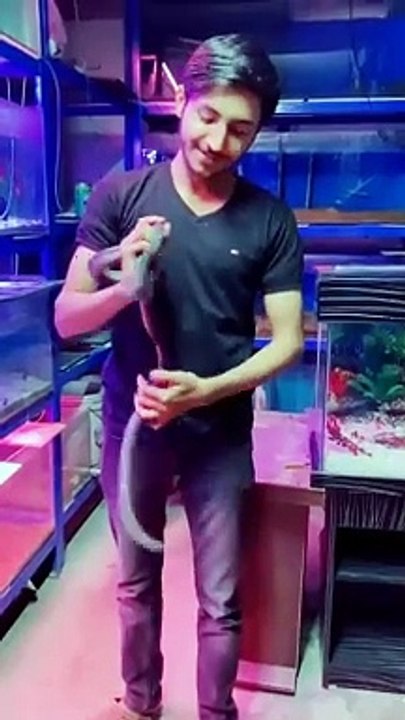 snake