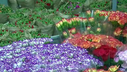 Antalya'da üretiliyor, tüm dünyaya gidiyor: 6 ayda onlarca milyon dolarlık gelir elde edildi