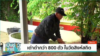 เทศกาลฟื้นย่านชุมชนโบราณเมืองเบตง | เป็นข่าวเล่าเรื่อง | 18 ก.ค. 67 | PART 2