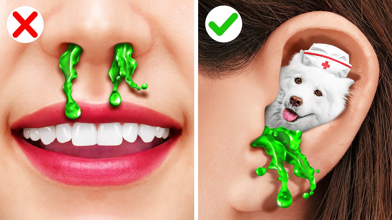 SAUVETAGE EXTRÊME D'ANIMAUX DE COMPAGNIE À L'HÔPITAL  Gadgets et astuces pour animaux à essayer !